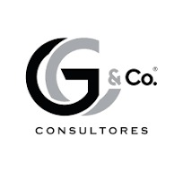 G&Co Consultores